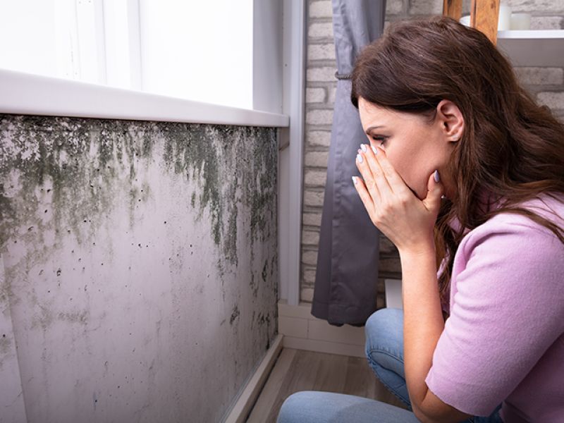 Nashville Mold Inspection