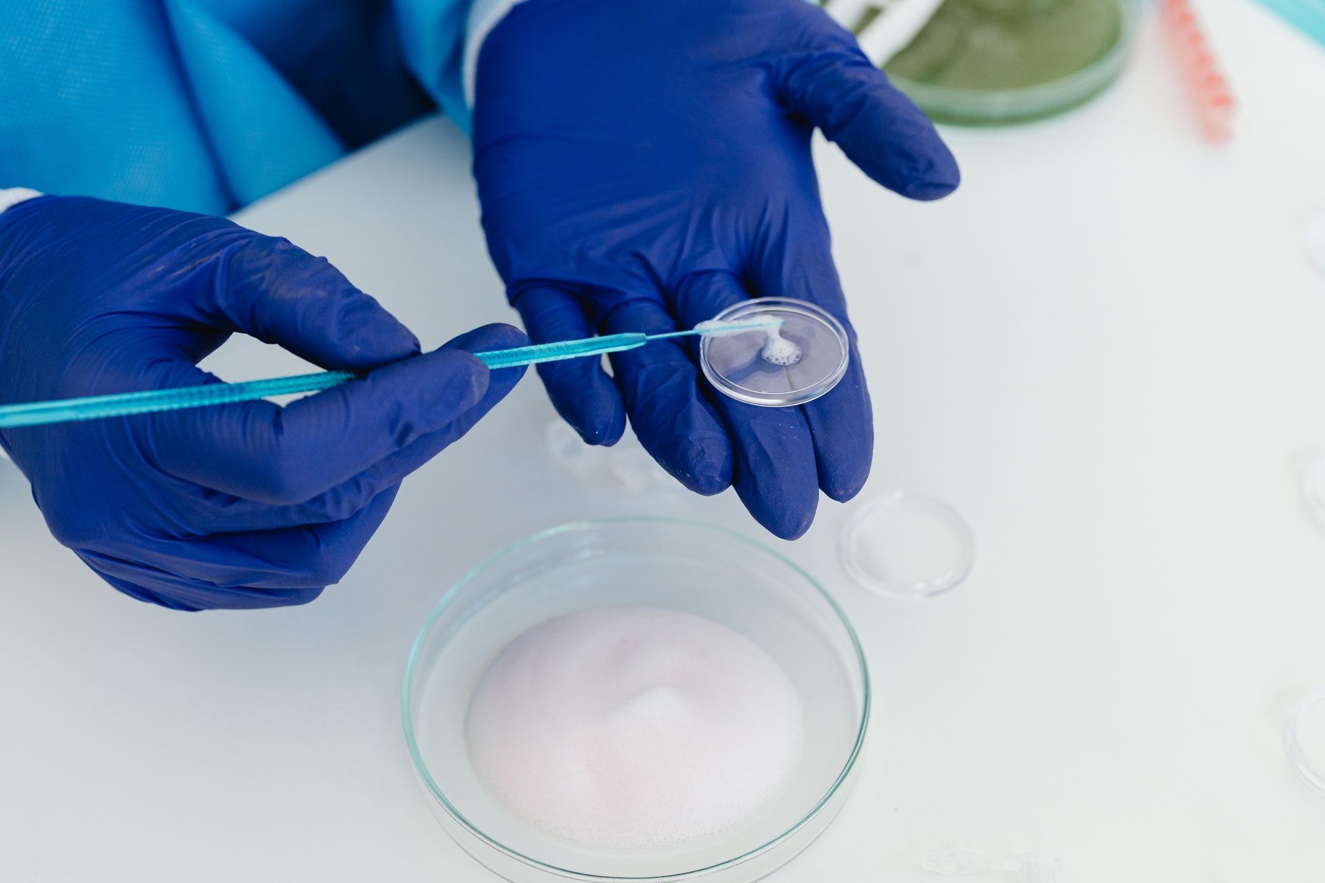 Nashville mold testing
