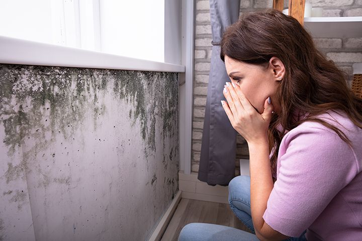 Nashville Mold Inspection