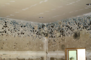 Water Damage and mold growth on walls and ceiling