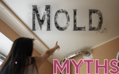 How many of these mold myths do you believe?