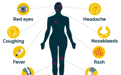 WHY MYCOTOXINS NEVER DIE