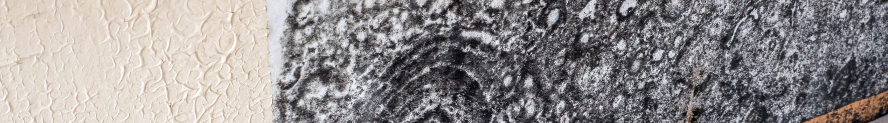 Additional Mold Resources